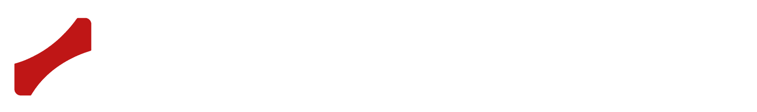 Logo BH SERVICE-01-01