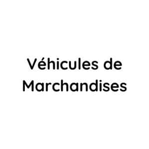Reparation vehicules de marchandises
