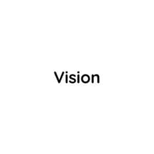 vision-bh-service vision-bh-service